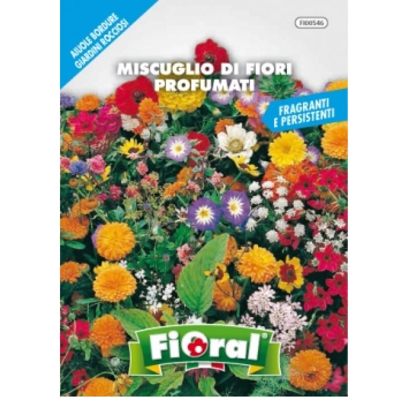 Buste di Sementi di Miscuglio di Fiori Profumati